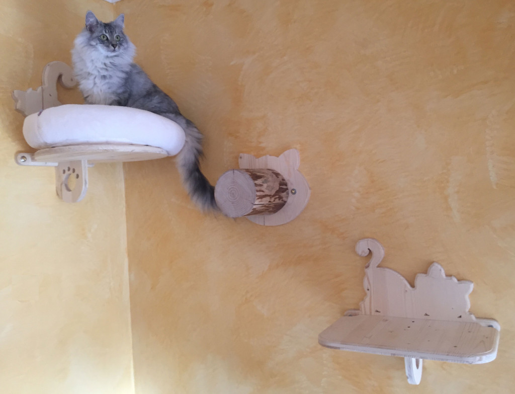 cuccetta "gattino vanitoso" con cuscino, gradino con base sagomata e ripiano "gattino giocherellone" Serie-Volare2